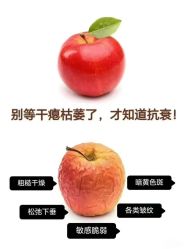 -薇薇安花系SPA