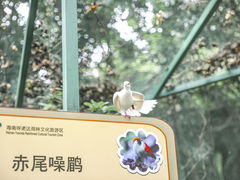 -呀诺达热带雨林