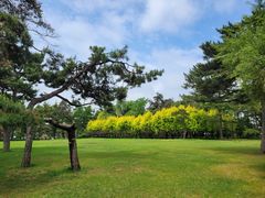 -长春市南湖公园