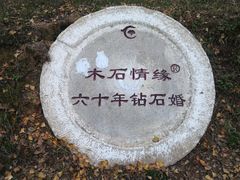 -千年银杏谷文化旅游区