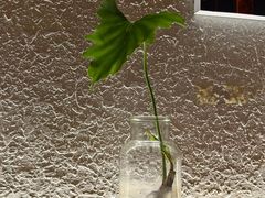 -匠太烧肉台日料理餐酒馆(三林店)