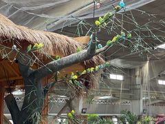 -南宫五洲植物乐园