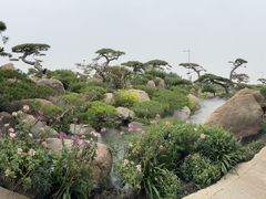 -罗红摄影艺术馆