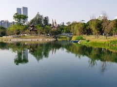 -四海公园(南山区)