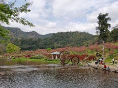 -广州市石门国家森林公园