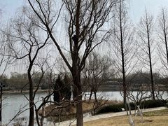 -北坞公园