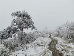 -秦岭风景区