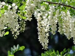 -龙口南山旅游景区