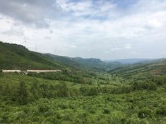 -空中草原