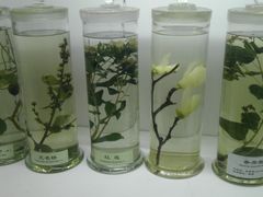 -北京中医药大学-中医药博物馆