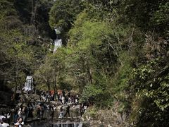 -石台牯牛降景区