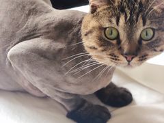 -金杨新村六街坊