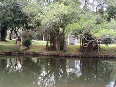 -人民公园(罗湖区)