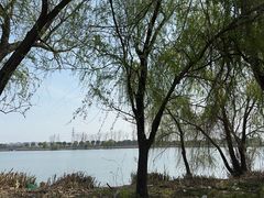 -漕湖湿地公园