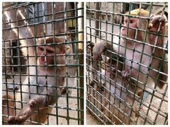 -南京金牛湖风景区