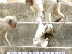 -昆明动物园