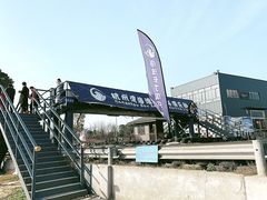 -杭州湾海上花田景区