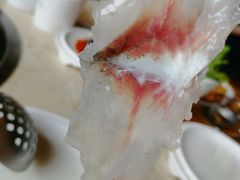 -食玉轩临江鱼捞