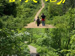 -青龙山国家森林公园