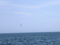 -海驴岛(荣成市)