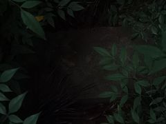-成都市活水公园