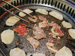 -杨记齐齐哈尔烤肉(总店)