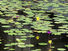 -万科前海企业公馆