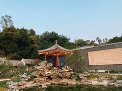 -清湖文化公园