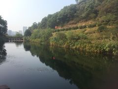 -桃花岭景区