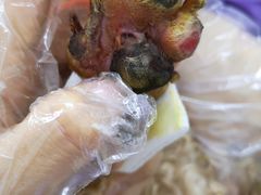 -瑞派宠物医院·24h·骨外科·皮肤科·全科宠物医疗转诊中心(沈阳浑南院)