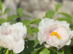 -广富林宰相府酒店·水云间