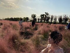 -映月湖中央公园