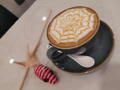 焦糖玛奇朵-飞行喵MR PILOT|猫舍·猫咖(静安大融城店)