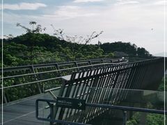 -福道