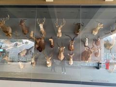 -陕西自然博物馆