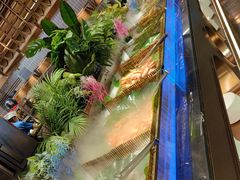 -鼎香缘海鲜自助火锅烤肉(锦辉购物广场店)