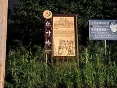 -北京西山国家森林公园