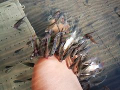 -溧阳天目湖天沐温泉