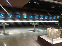 -青岛贝壳博物馆
