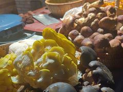 -林间山庄