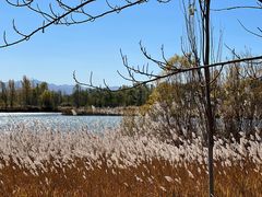 -野鸭湖国家湿地公园