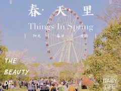 -顾村公园