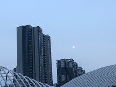 -嘉庚体育馆