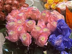-双季花艺园艺市场(浦东店)
