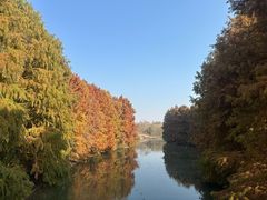 -上海海湾国家森林公园