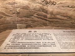 -白鹤梁水下博物馆