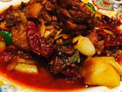 -巴依老爷新疆美食(望京小街店)