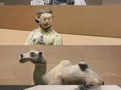 -桂林博物馆
