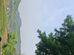 -十里琅珰