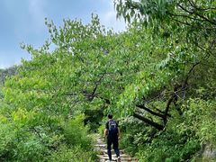 -阳台山自然风景区
